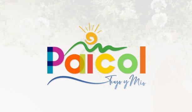 Diseño imagen corporativa logo manual marca paicol Diseño manual de marca paicol
